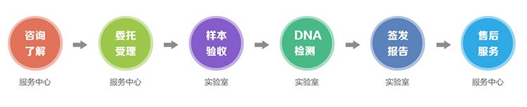 江苏隐私亲子鉴定流程